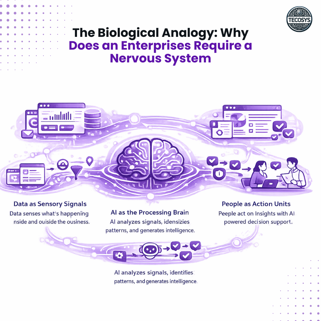 The Biological Analogy Why Does an Enterprises Require a Nervous System.png